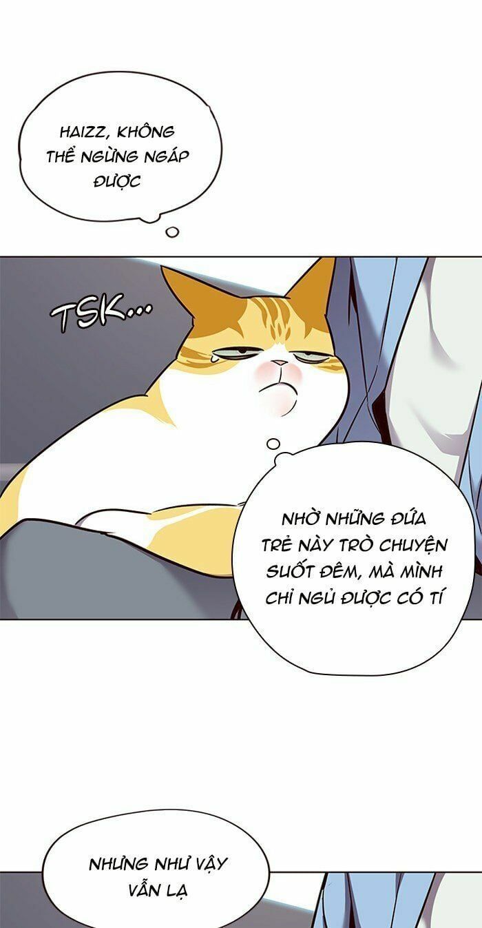 đọc truyện Hóa Thân Thành Mèo Chương 67 ảnh 49 tại Thiên Thai Truyện