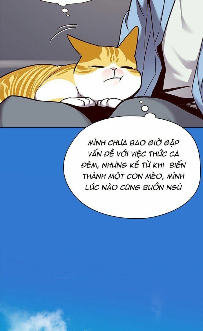 đọc truyện Hóa Thân Thành Mèo Chương 67 ảnh 50 tại Thiên Thai Truyện