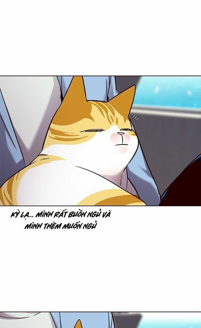 đọc truyện Hóa Thân Thành Mèo Chương 67 ảnh 60 tại Thiên Thai Truyện