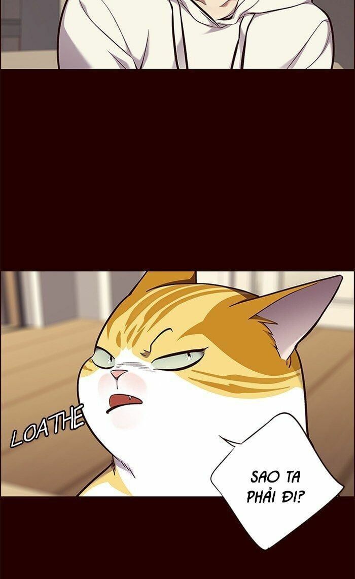 đọc truyện Hóa Thân Thành Mèo Chương 67 ảnh 63 tại Thiên Thai Truyện