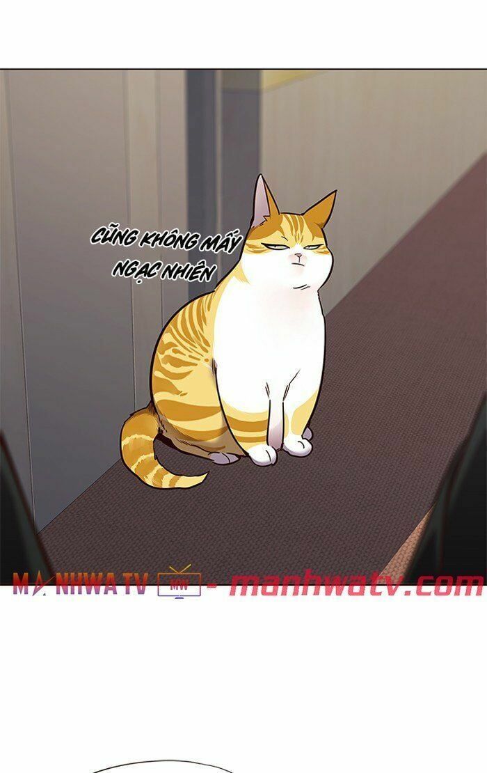 đọc truyện Hóa Thân Thành Mèo Chương 68 ảnh 73 tại Thiên Thai Truyện