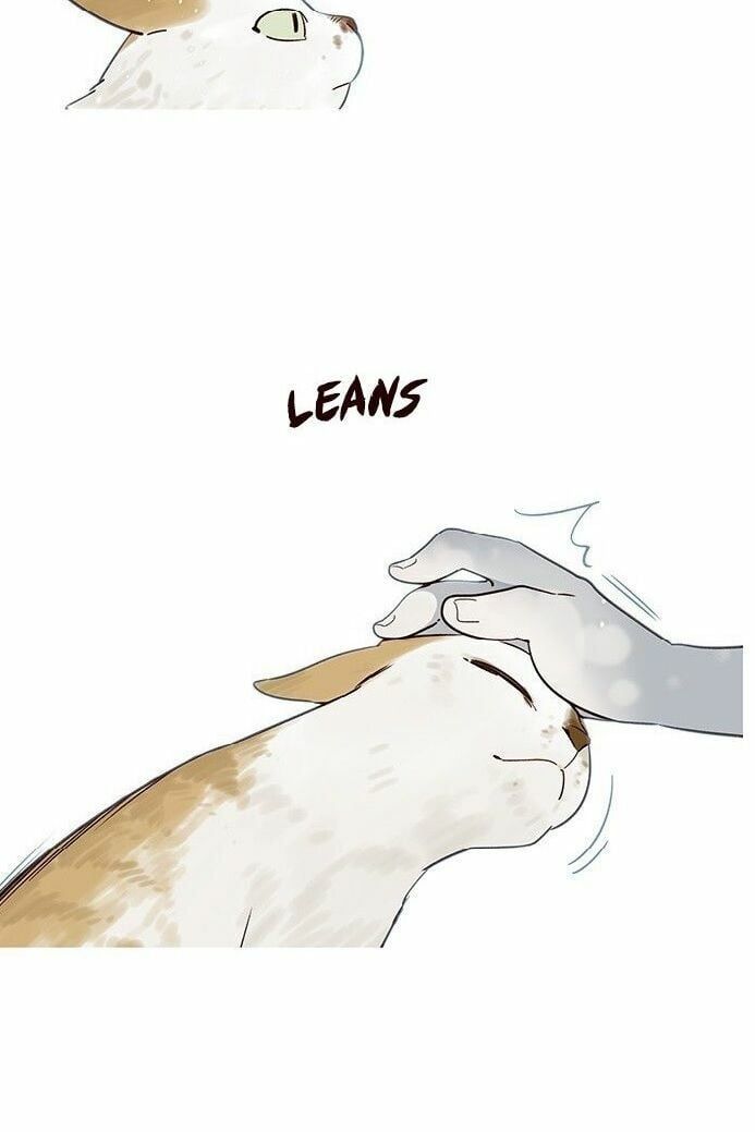 đọc truyện Hóa Thân Thành Mèo Chương 7 ảnh 15 tại Thiên Thai Truyện