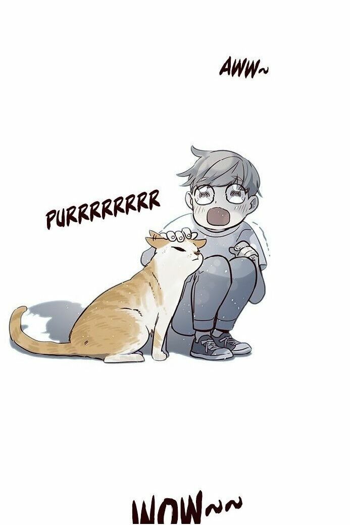 đọc truyện Hóa Thân Thành Mèo Chương 7 ảnh 16 tại Thiên Thai Truyện