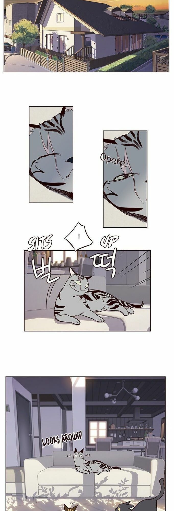 đọc truyện Hóa Thân Thành Mèo Chương 7 ảnh 38 tại Thiên Thai Truyện