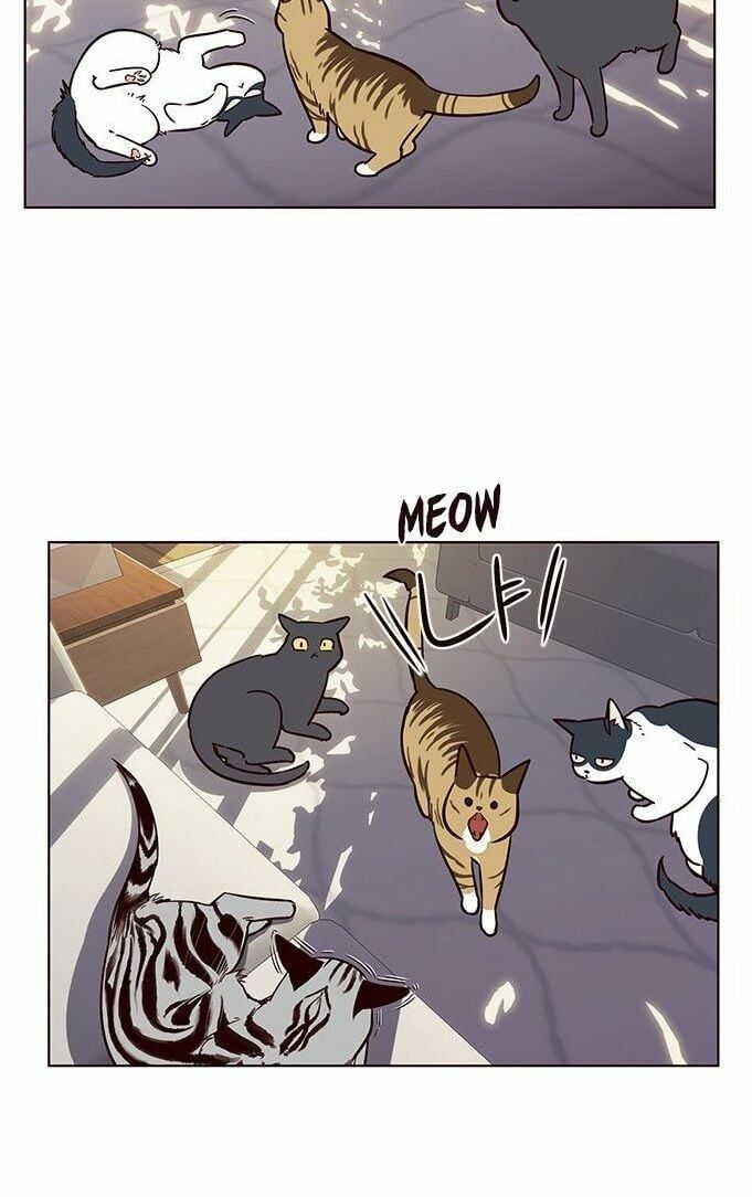 đọc truyện Hóa Thân Thành Mèo Chương 7 ảnh 39 tại Thiên Thai Truyện