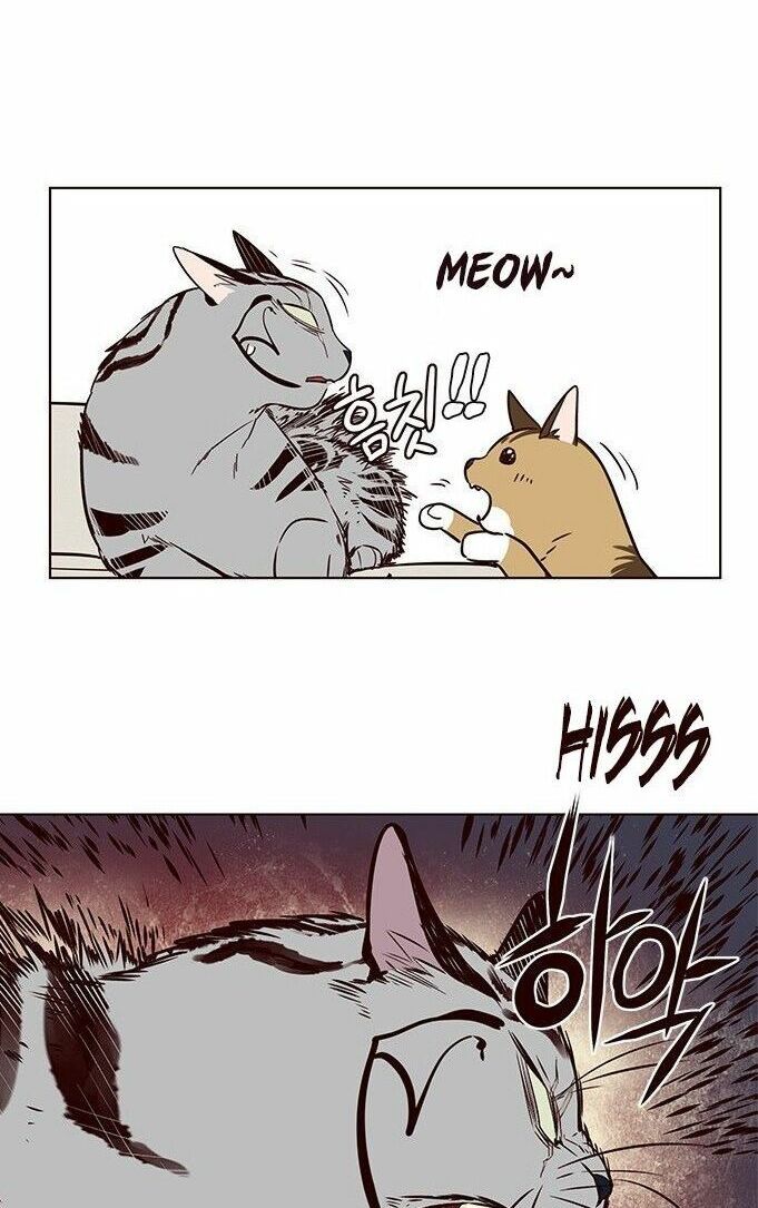 đọc truyện Hóa Thân Thành Mèo Chương 7 ảnh 40 tại Thiên Thai Truyện