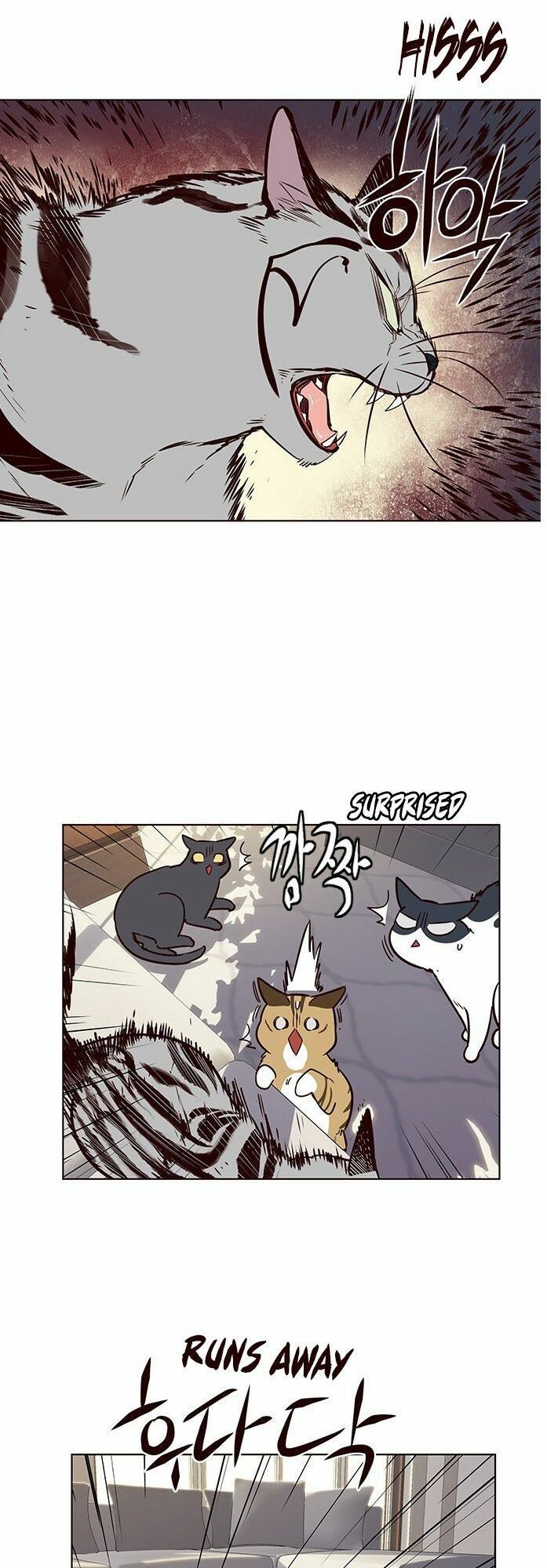 đọc truyện Hóa Thân Thành Mèo Chương 7 ảnh 41 tại Thiên Thai Truyện