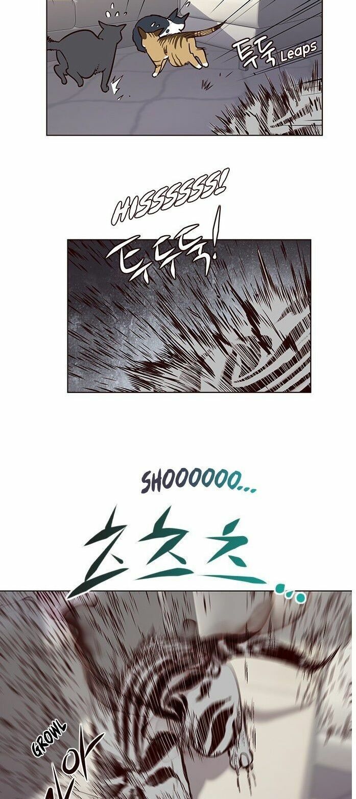 đọc truyện Hóa Thân Thành Mèo Chương 7 ảnh 42 tại Thiên Thai Truyện