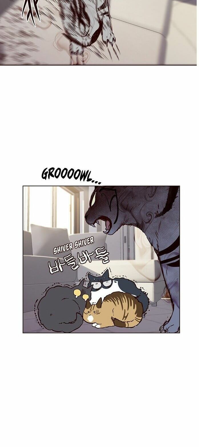 đọc truyện Hóa Thân Thành Mèo Chương 7 ảnh 43 tại Thiên Thai Truyện