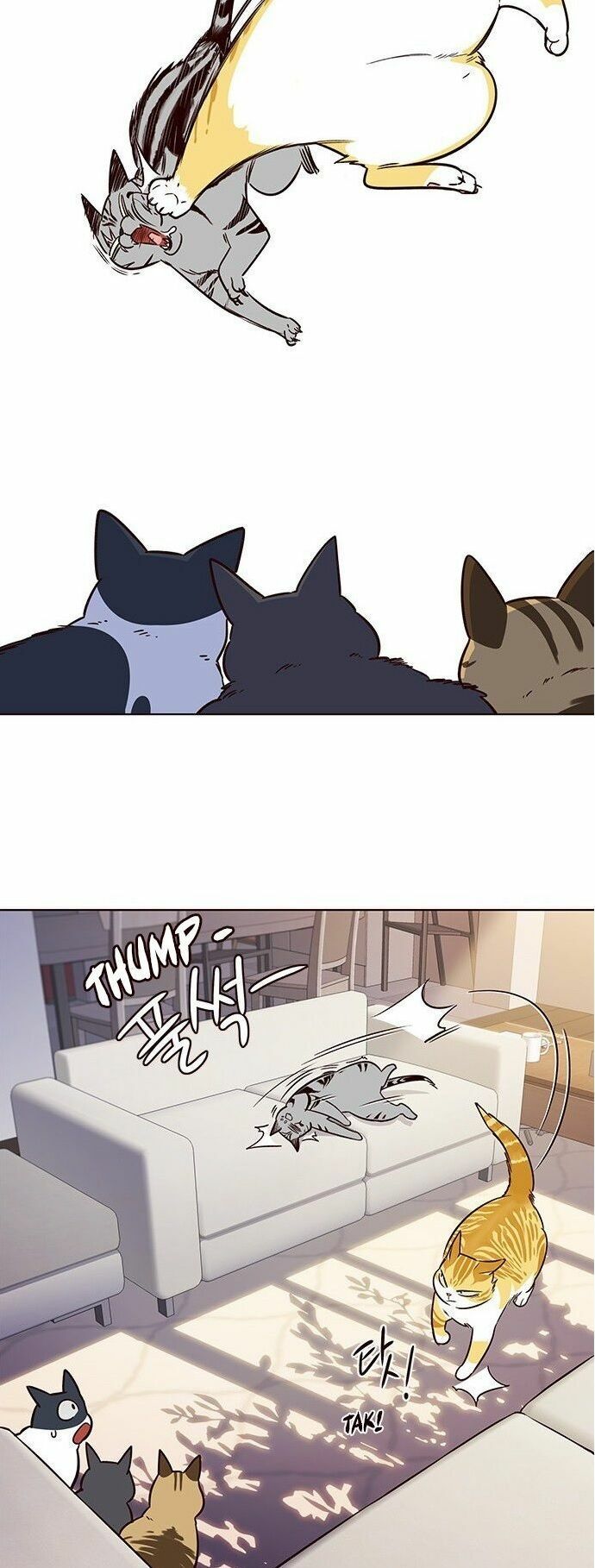 đọc truyện Hóa Thân Thành Mèo Chương 7 ảnh 46 tại Thiên Thai Truyện