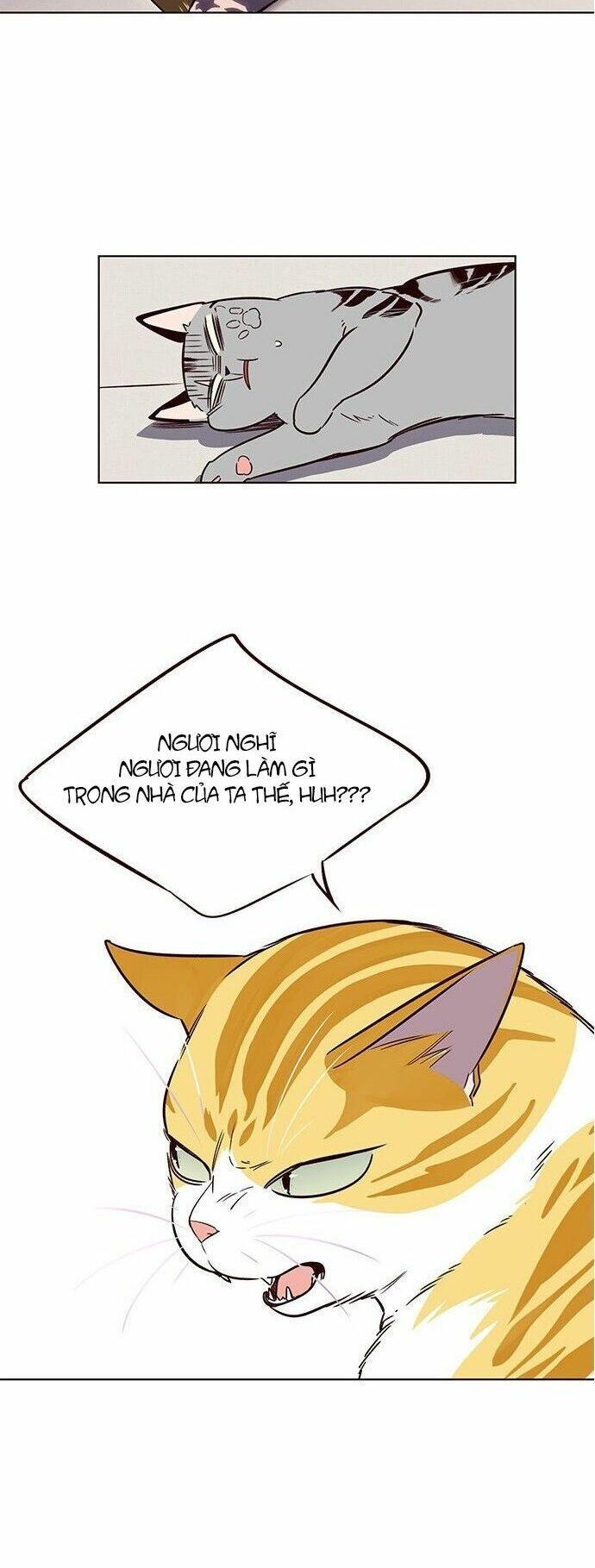 đọc truyện Hóa Thân Thành Mèo Chương 7 ảnh 47 tại Thiên Thai Truyện