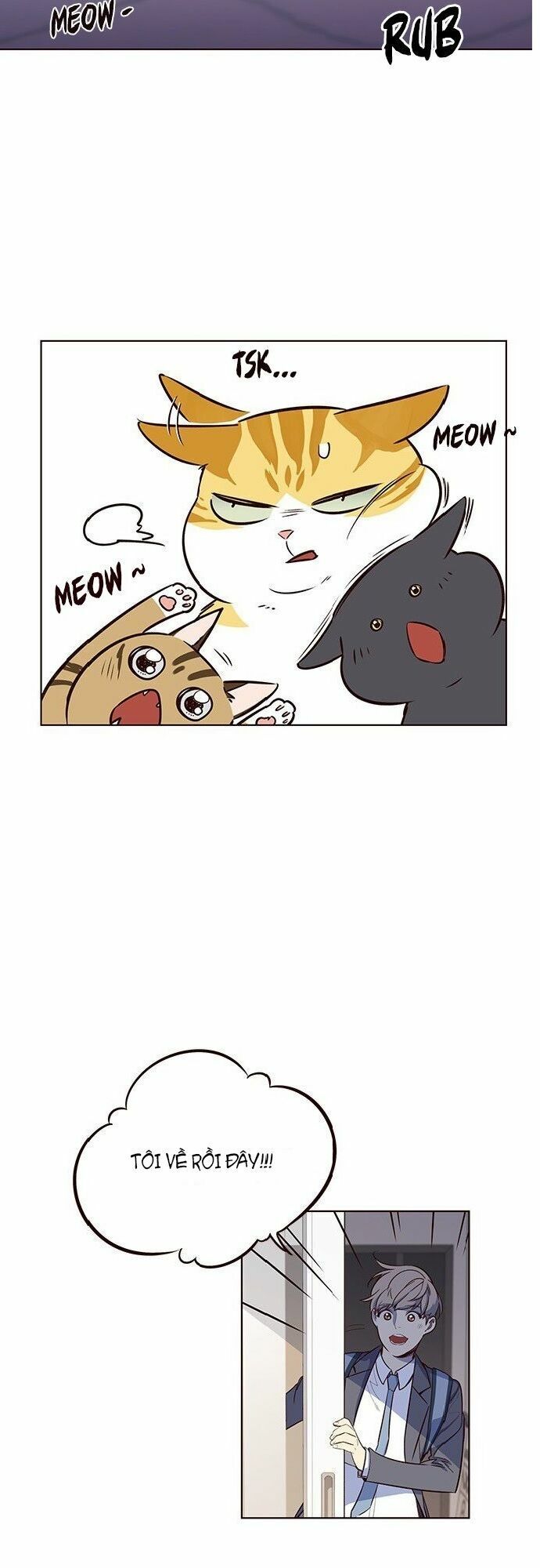 đọc truyện Hóa Thân Thành Mèo Chương 7 ảnh 49 tại Thiên Thai Truyện