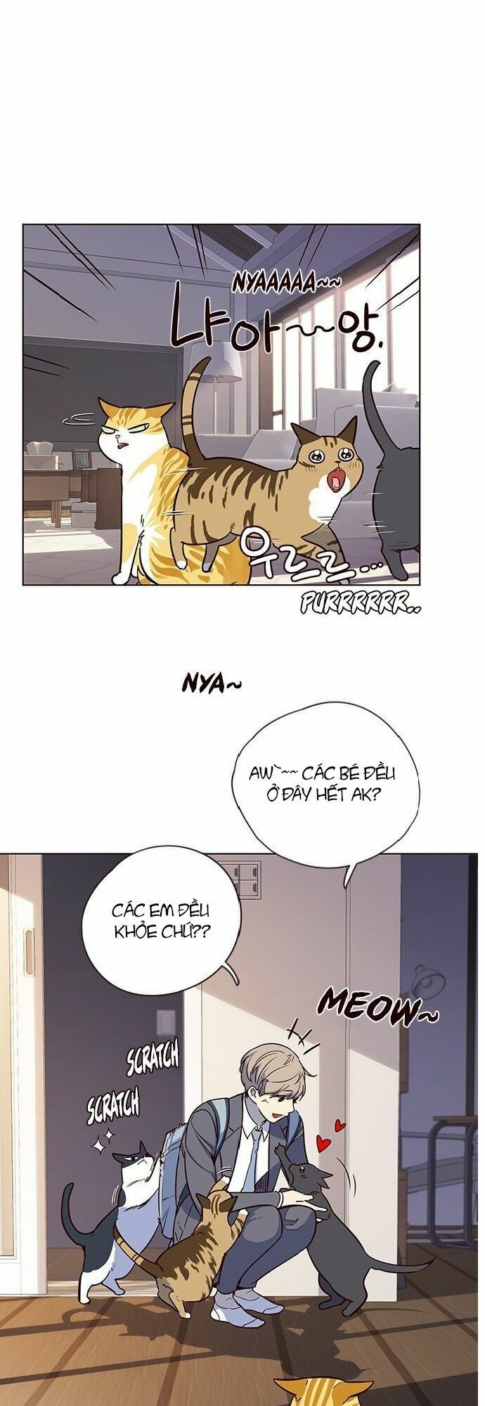 đọc truyện Hóa Thân Thành Mèo Chương 7 ảnh 50 tại Thiên Thai Truyện