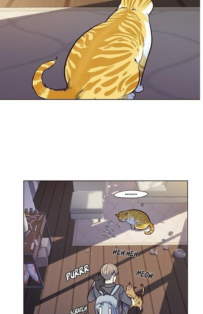 đọc truyện Hóa Thân Thành Mèo Chương 7 ảnh 51 tại Thiên Thai Truyện