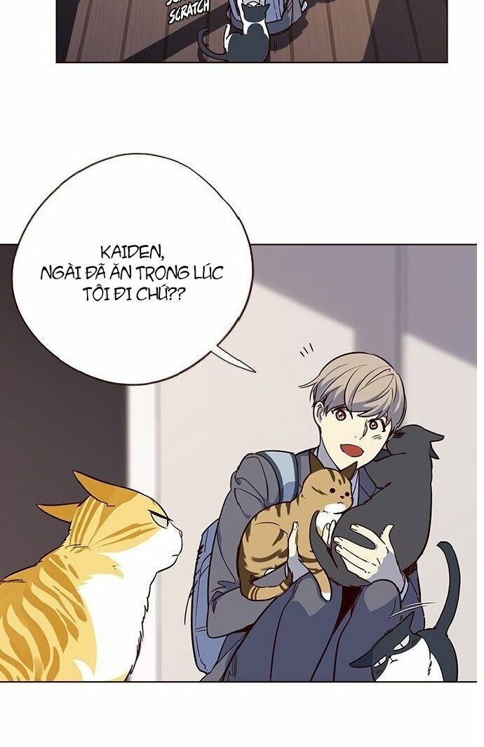 đọc truyện Hóa Thân Thành Mèo Chương 7 ảnh 52 tại Thiên Thai Truyện