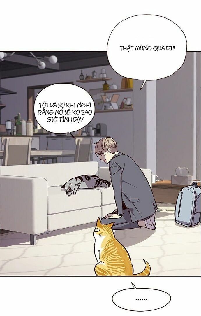 đọc truyện Hóa Thân Thành Mèo Chương 7 ảnh 56 tại Thiên Thai Truyện