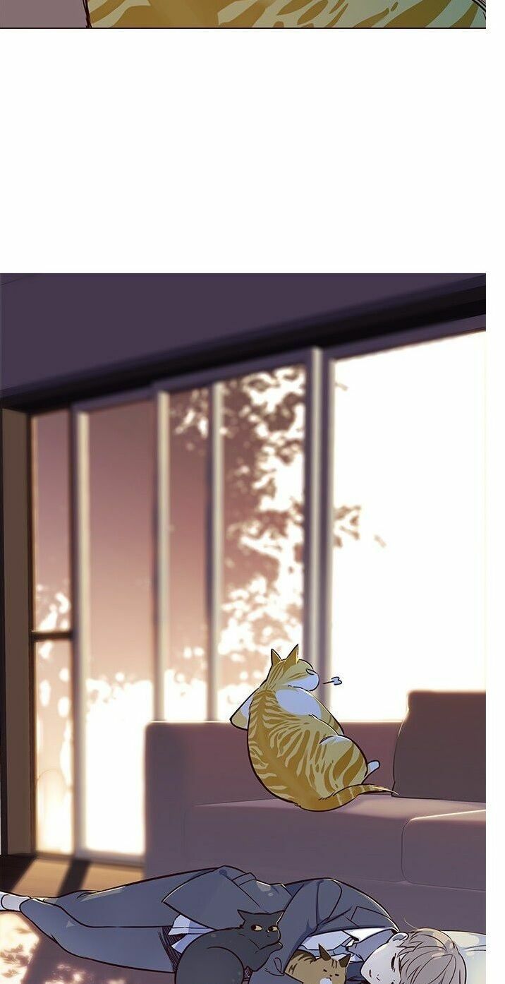 đọc truyện Hóa Thân Thành Mèo Chương 7 ảnh 70 tại Thiên Thai Truyện