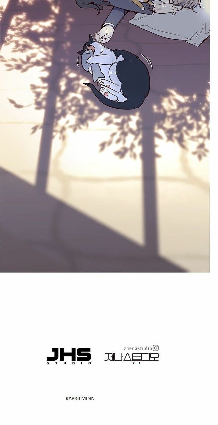 đọc truyện Hóa Thân Thành Mèo Chương 7 ảnh 71 tại Thiên Thai Truyện