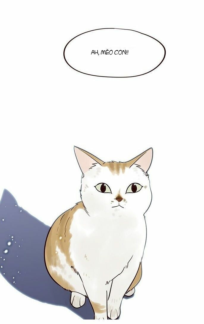 đọc truyện Hóa Thân Thành Mèo Chương 7 ảnh 11 tại Thiên Thai Truyện