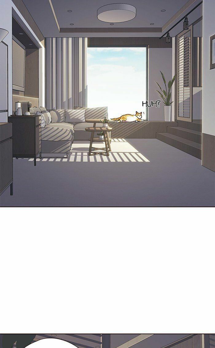 đọc truyện Hóa Thân Thành Mèo Chương 70 ảnh 6 tại Thiên Thai Truyện