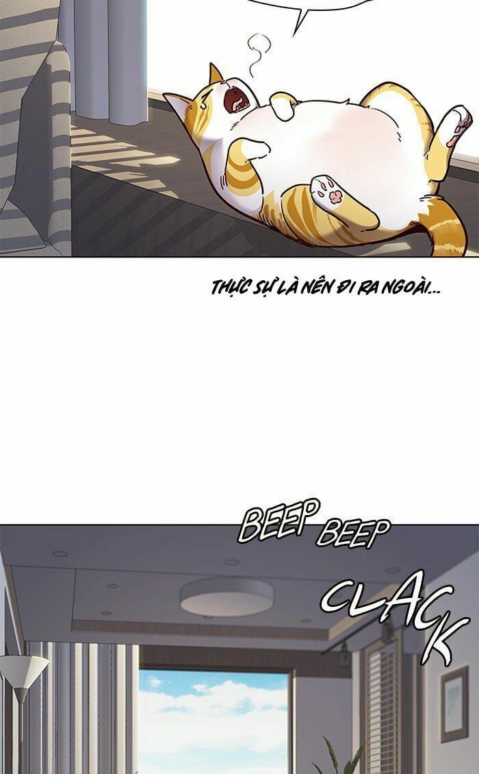 đọc truyện Hóa Thân Thành Mèo Chương 70 ảnh 50 tại Thiên Thai Truyện