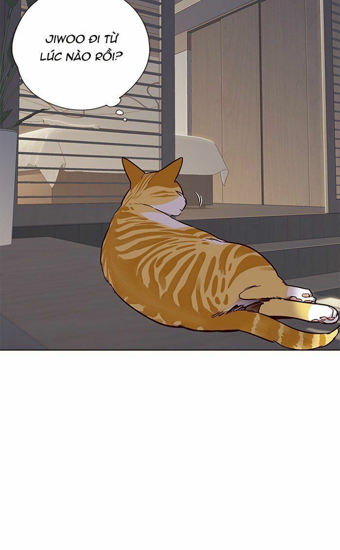 đọc truyện Hóa Thân Thành Mèo Chương 70 ảnh 7 tại Thiên Thai Truyện