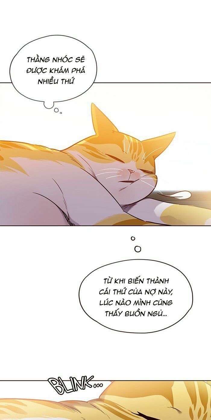 đọc truyện Hóa Thân Thành Mèo Chương 70 ảnh 9 tại Thiên Thai Truyện