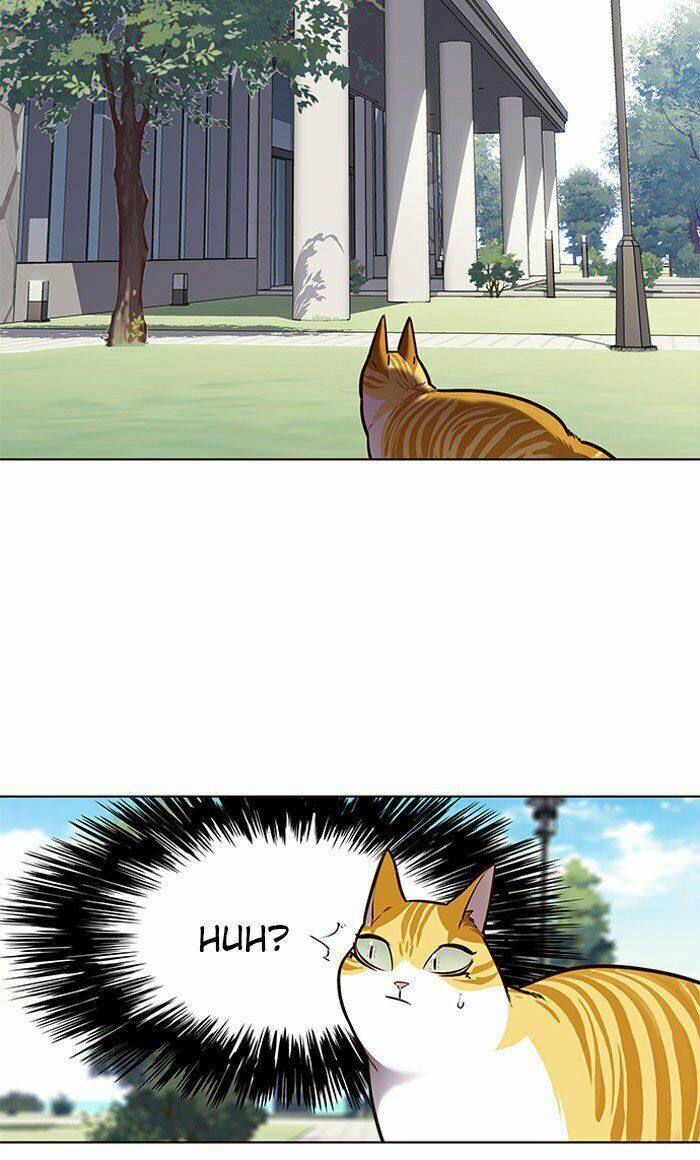 đọc truyện Hóa Thân Thành Mèo Chương 71 ảnh 70 tại Thiên Thai Truyện