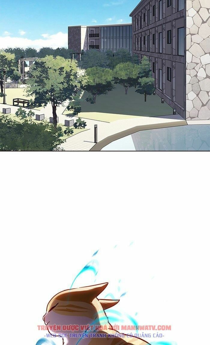 đọc truyện Hóa Thân Thành Mèo Chương 73 ảnh 23 tại Thiên Thai Truyện