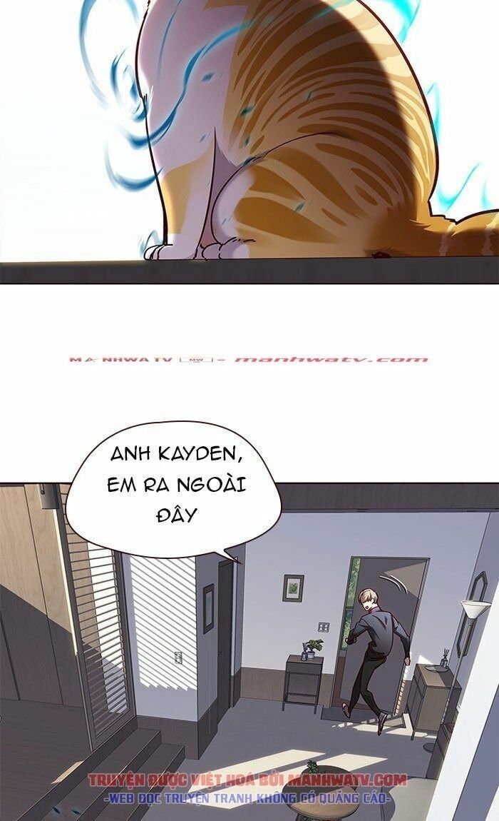 đọc truyện Hóa Thân Thành Mèo Chương 73 ảnh 24 tại Thiên Thai Truyện