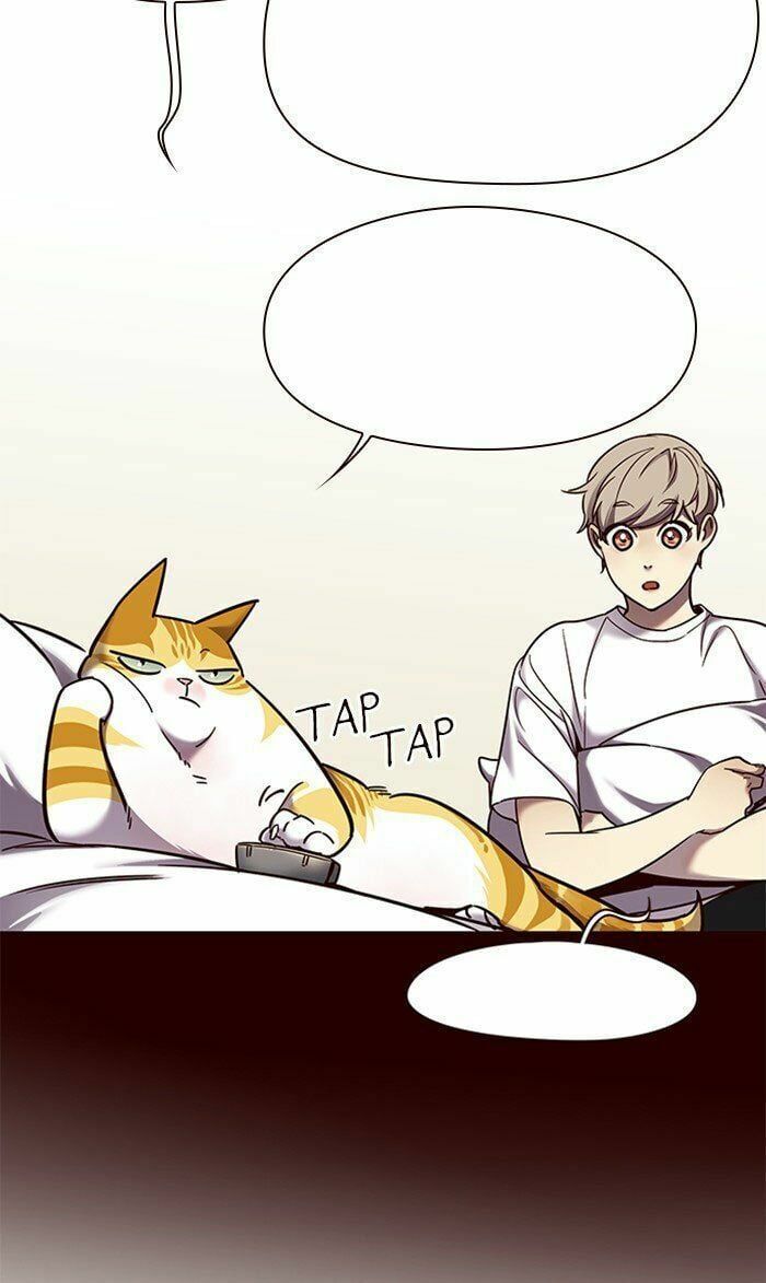 đọc truyện Hóa Thân Thành Mèo Chương 75 ảnh 45 tại Thiên Thai Truyện