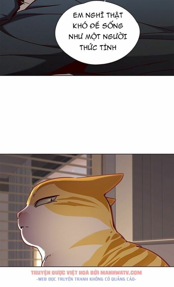 đọc truyện Hóa Thân Thành Mèo Chương 76 ảnh 90 tại Thiên Thai Truyện