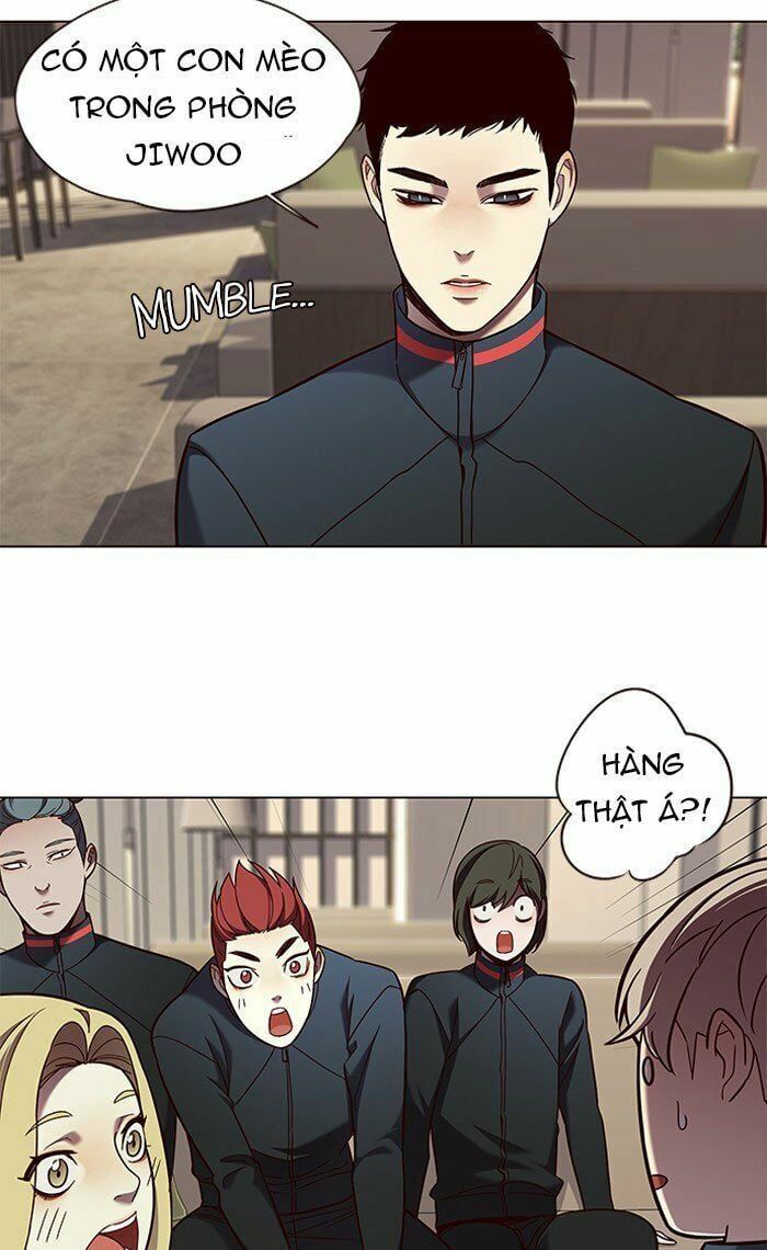 đọc truyện Hóa Thân Thành Mèo Chương 78 ảnh 75 tại Thiên Thai Truyện