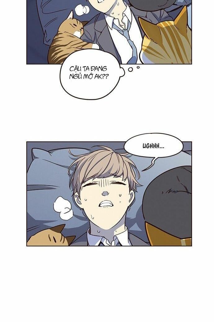 đọc truyện Hóa Thân Thành Mèo Chương 8 ảnh 24 tại Thiên Thai Truyện