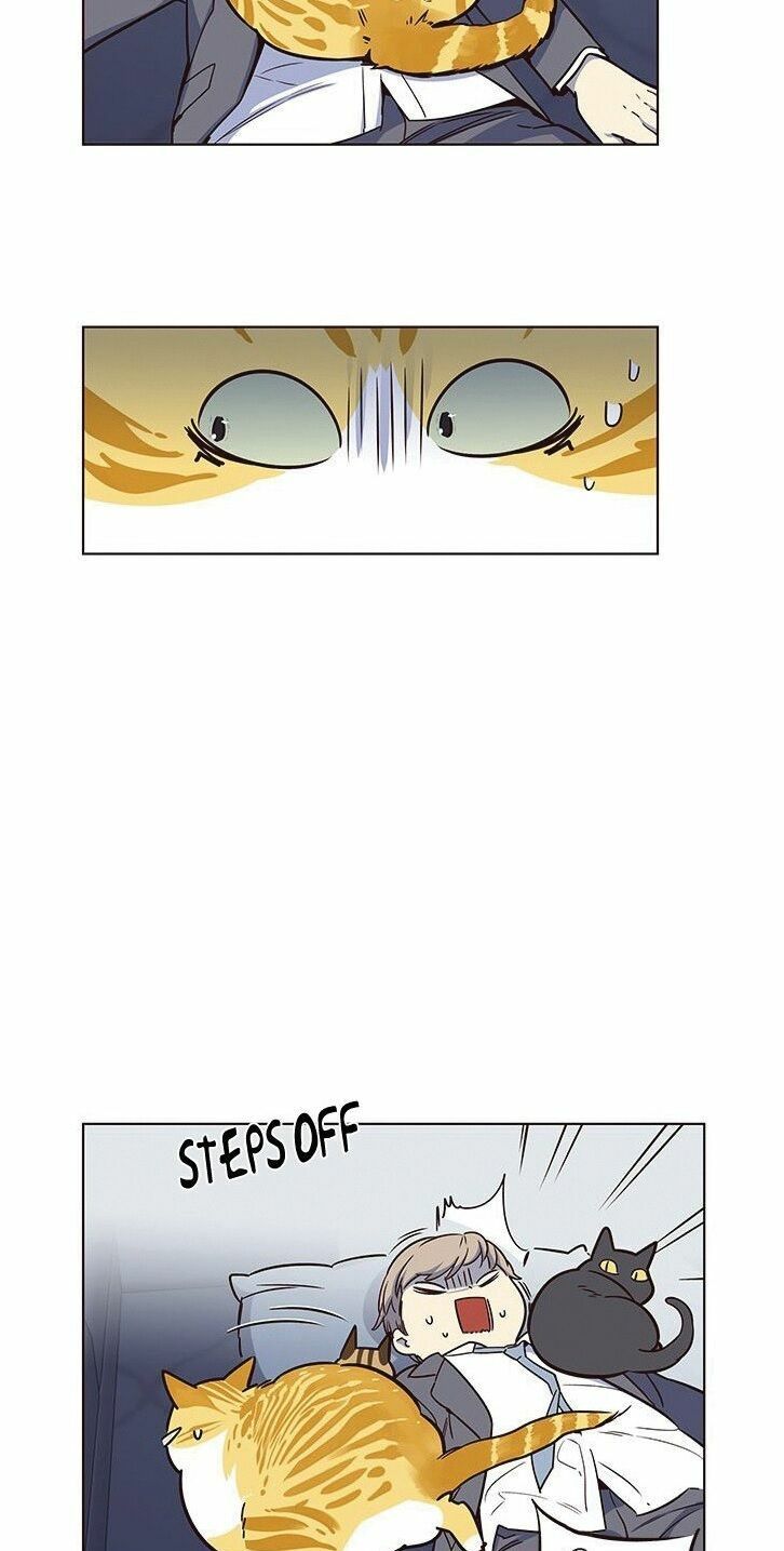 đọc truyện Hóa Thân Thành Mèo Chương 8 ảnh 27 tại Thiên Thai Truyện