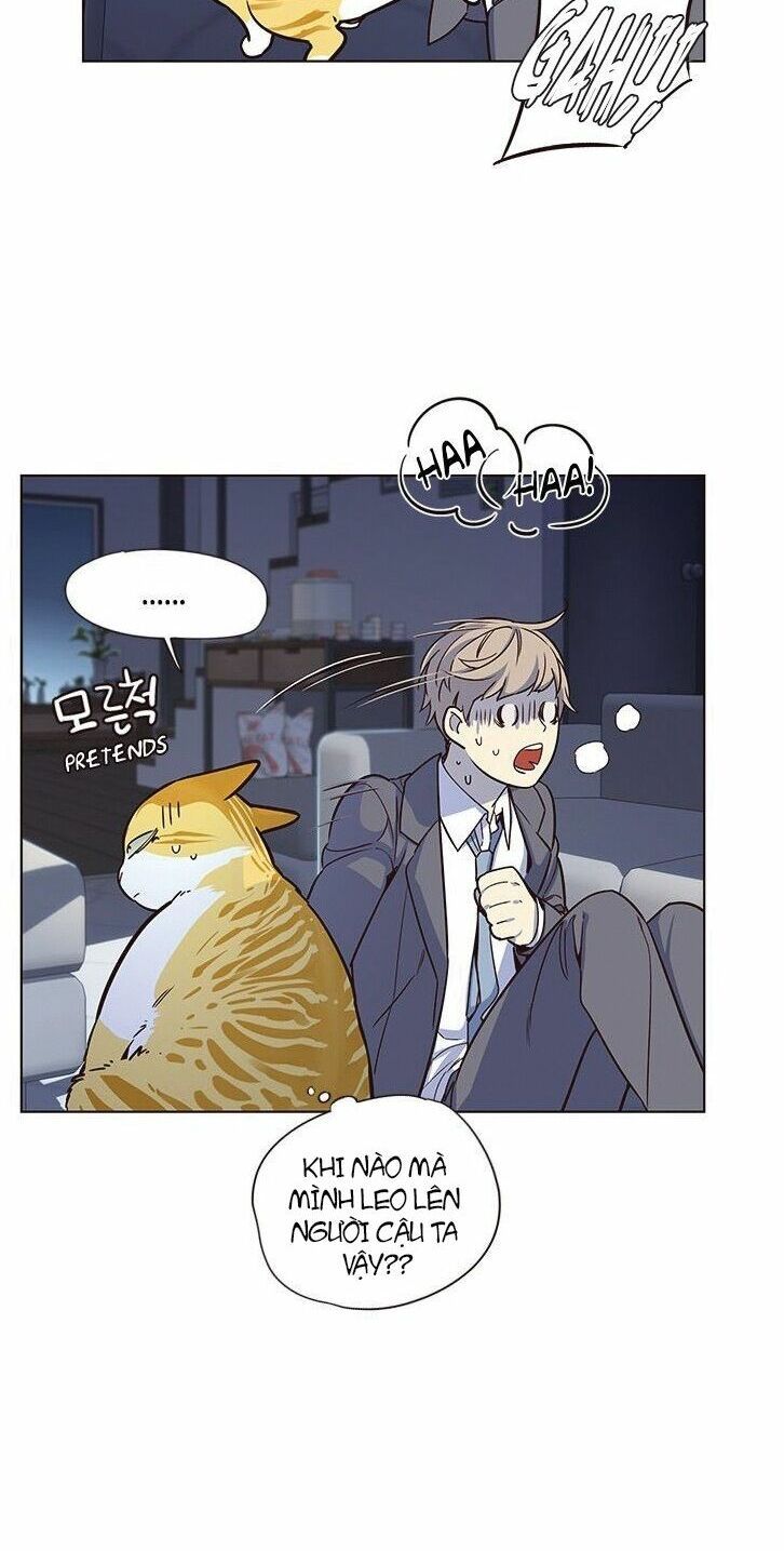 đọc truyện Hóa Thân Thành Mèo Chương 8 ảnh 28 tại Thiên Thai Truyện