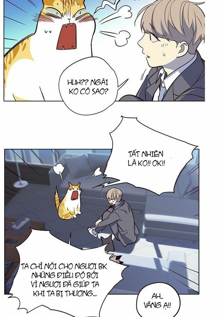 đọc truyện Hóa Thân Thành Mèo Chương 8 ảnh 34 tại Thiên Thai Truyện