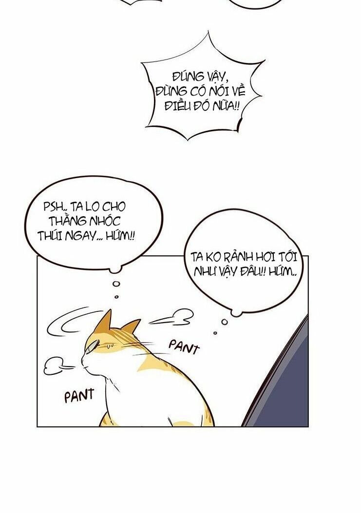 đọc truyện Hóa Thân Thành Mèo Chương 8 ảnh 35 tại Thiên Thai Truyện