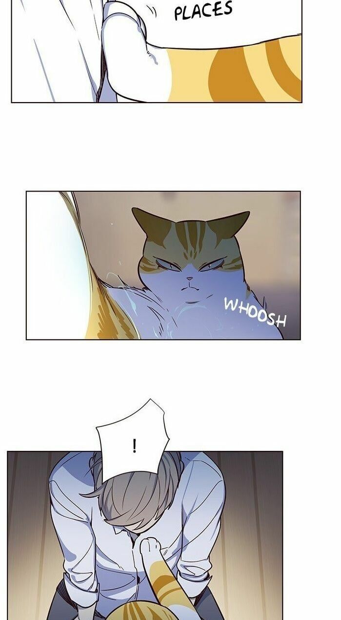 đọc truyện Hóa Thân Thành Mèo Chương 8 ảnh 45 tại Thiên Thai Truyện