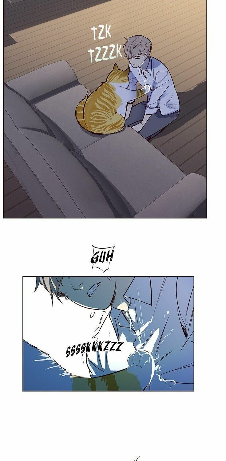 đọc truyện Hóa Thân Thành Mèo Chương 8 ảnh 50 tại Thiên Thai Truyện