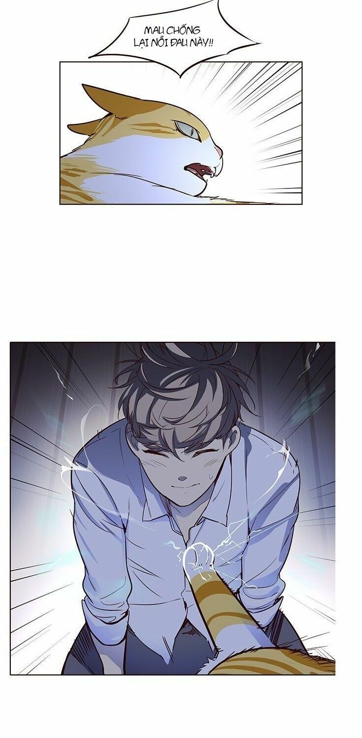 đọc truyện Hóa Thân Thành Mèo Chương 8 ảnh 51 tại Thiên Thai Truyện