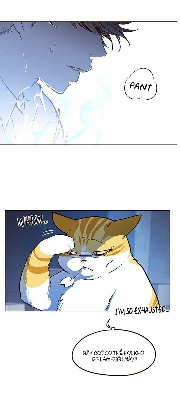 đọc truyện Hóa Thân Thành Mèo Chương 8 ảnh 55 tại Thiên Thai Truyện