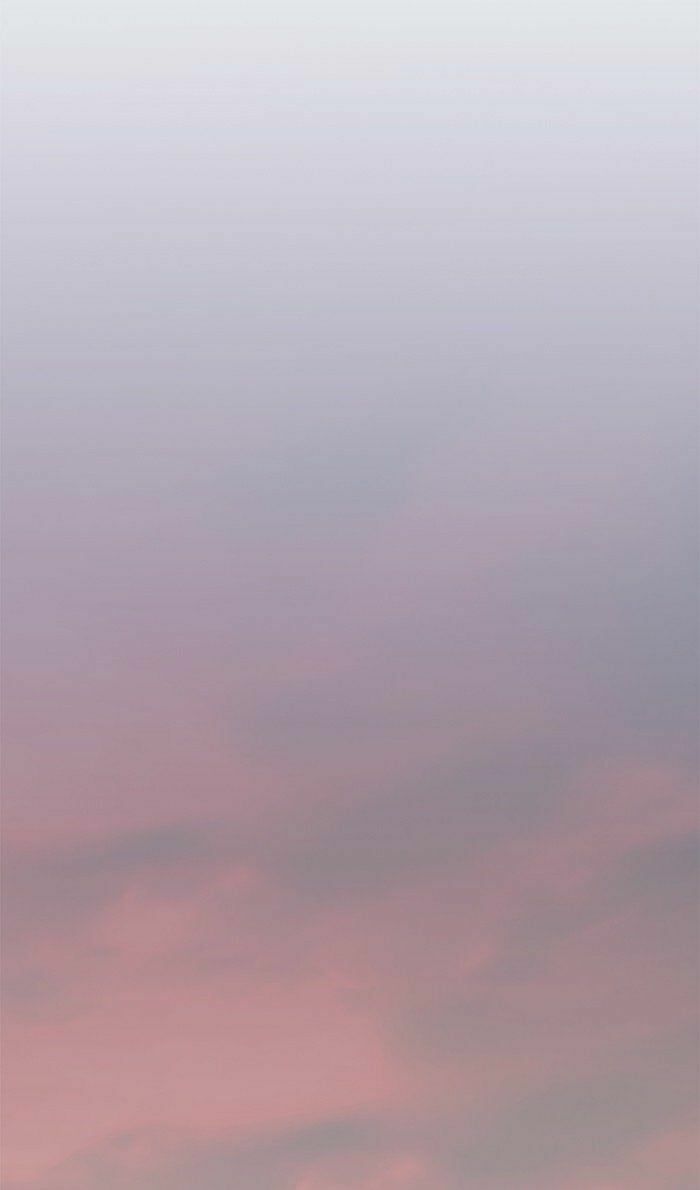 đọc truyện Hóa Thân Thành Mèo Chương 80 ảnh 26 tại Thiên Thai Truyện