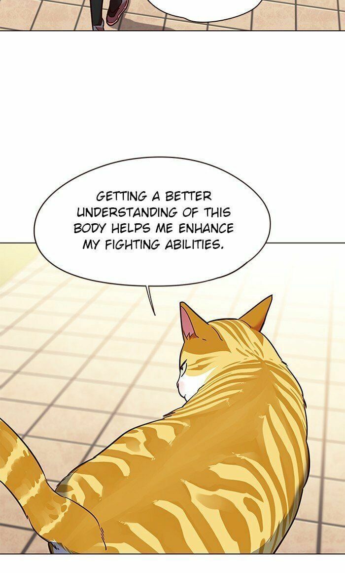 đọc truyện Hóa Thân Thành Mèo Chương 80 ảnh 52 tại Thiên Thai Truyện