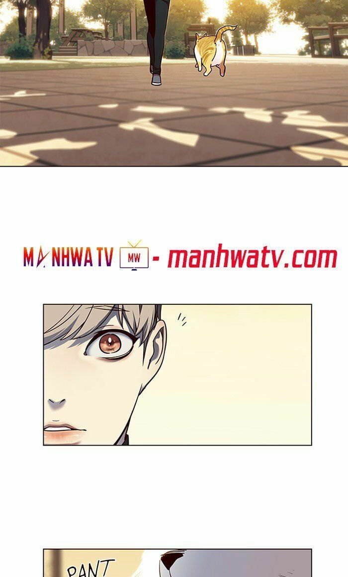 đọc truyện Hóa Thân Thành Mèo Chương 80 ảnh 56 tại Thiên Thai Truyện