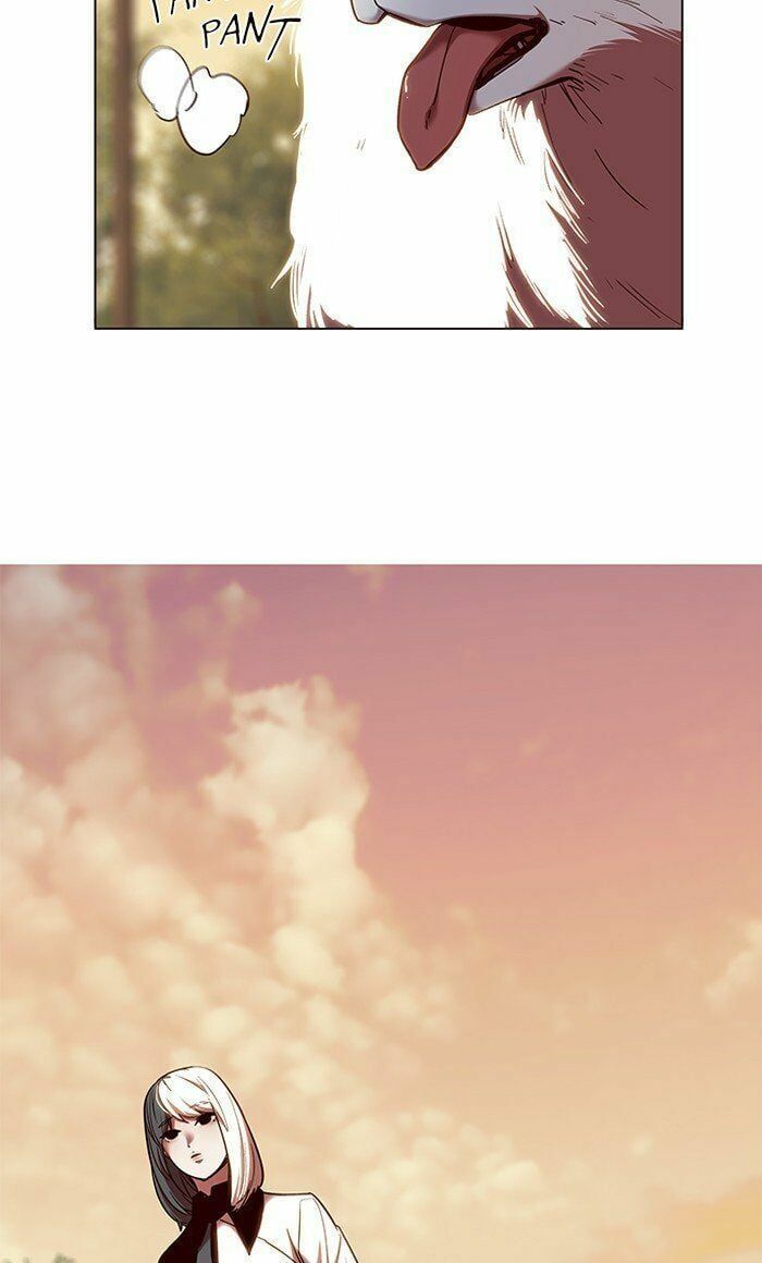 đọc truyện Hóa Thân Thành Mèo Chương 80 ảnh 57 tại Thiên Thai Truyện