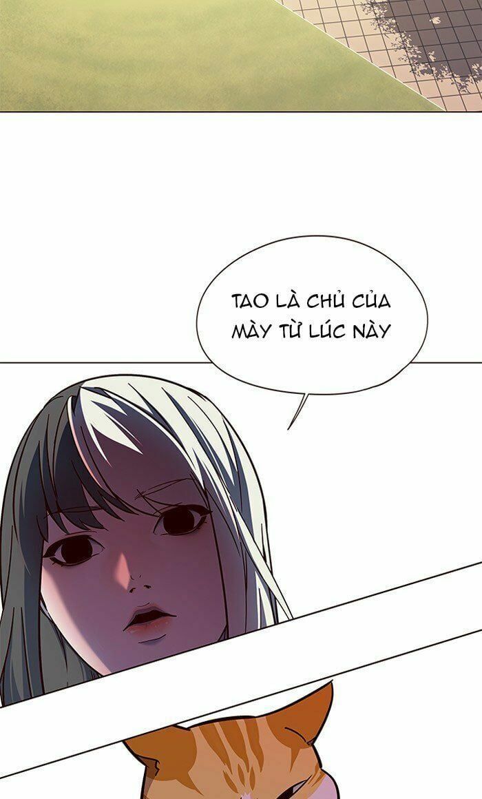 đọc truyện Hóa Thân Thành Mèo Chương 80 ảnh 69 tại Thiên Thai Truyện