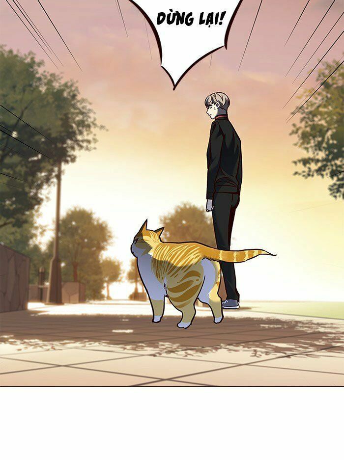 đọc truyện Hóa Thân Thành Mèo Chương 80 ảnh 72 tại Thiên Thai Truyện