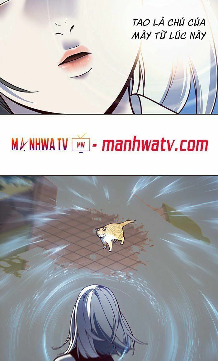 đọc truyện Hóa Thân Thành Mèo Chương 80 ảnh 76 tại Thiên Thai Truyện