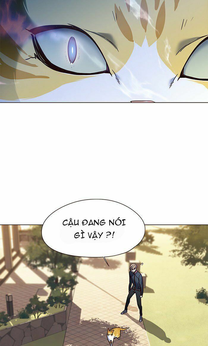 đọc truyện Hóa Thân Thành Mèo Chương 80 ảnh 78 tại Thiên Thai Truyện